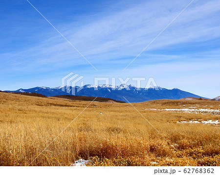 暖冬で雪が少ない冬の草原【霧ヶ峰から望む八ヶ岳】 62768362