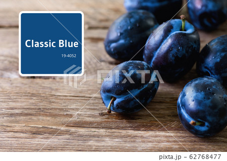Blue organic plums on dark wooden background. Copyspace Blue organic plums on dark wooden background. Copyspace 62768477
