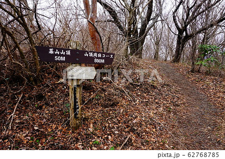 神奈川　幕山　山頂付近分岐 62768785