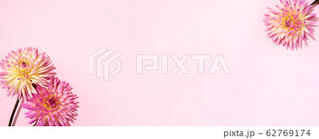 Festive flower bouquet over pastel pink background, copy space. Top view. Creative greeting card with yellow and pink dahlia flowers. Banner Festive flower bouquet over pastel pink background, copy space. Top view. Creative greeting card with yellow and pink dahlia flowers. Banner 62769174