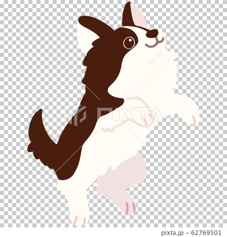 一隻跳躍的吉娃娃手繪插畫深棕色無主線 62769501