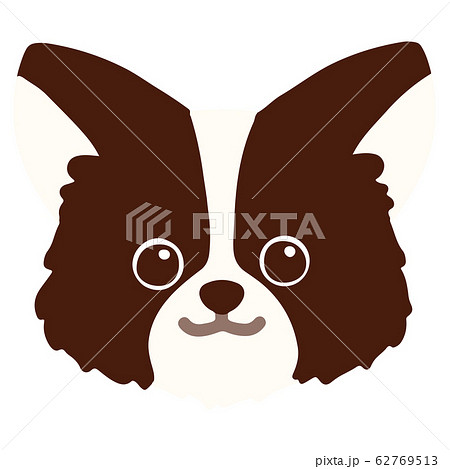 チワワの正面顔の手描きのイラスト　こげ茶　主線なし 62769513