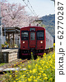 一貴山駅にて桜と電車と菜の花 62770287