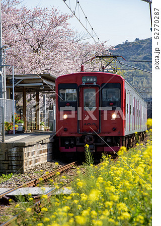 一貴山駅にて桜と電車と菜の花 62770287