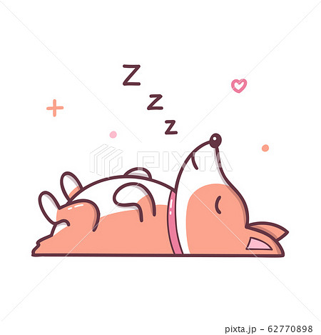 Kawaii dog sleeping 62770898