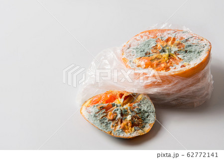 Ugly mold orange on grey. Close up. Ugly mold orange on grey. Close up. 62772141