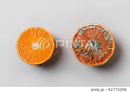 Ugly mold orange on grey. Top view. Improper 62773096