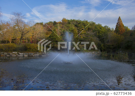 花 樹木 春 62773436