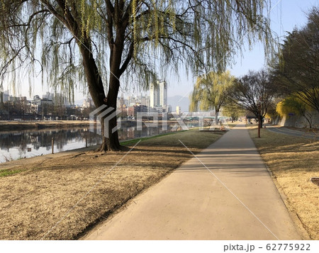 公園 道 河川 62775922