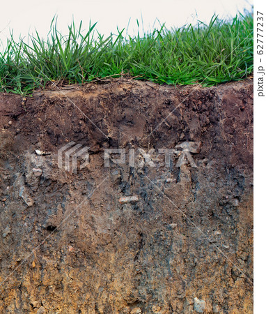 Topsoil with grass Topsoil with grass 62777237