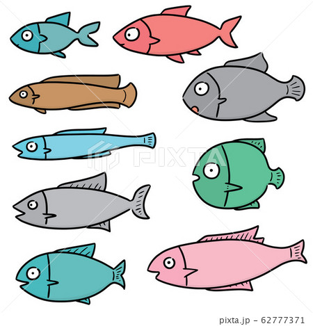 vector set of fish 62777371