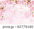 桜_背景ピンク 62779180