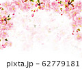 桜_背景白 62779181