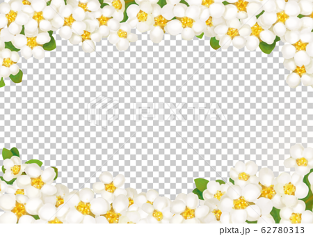 白い花 背景のイラスト素材