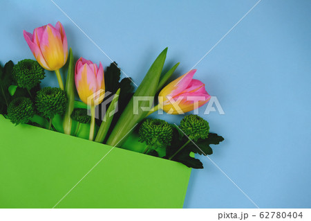 Pink tulips in an envelope, top view. Pink tulips in an envelope, top view. 62780404