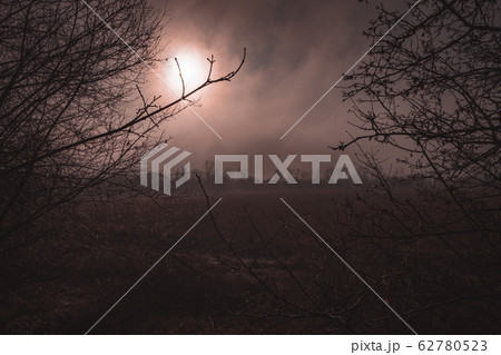 Mist landscape, trees are wet, damp fog of forest. Orange mystical sunset in foggy day. Halloween evening background 62780523