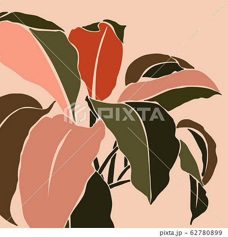 Tropical leaves in a minimalist trendy style. Silhouette of a plant in a contemporary simple Tropical leaves in a minimalist trendy style. Silhouette of a plant in a contemporary simple 62780899