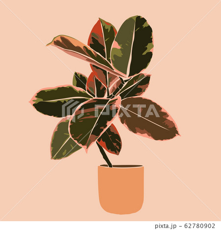 Art collage plant Tropical ficus leaves in a minimal trendy style. Silhouette of a plant. Vector 62780902
