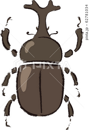 カブトムシ カブトムシ 62781034