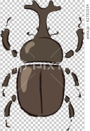カブトムシ カブトムシ 62781034