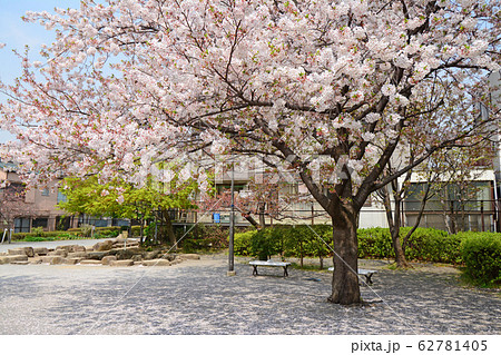 南蒲田三丁目さくら公園 東京都大田区南蒲田 南蒲田三丁目さくら公園 東京都大田区南蒲田 62781405