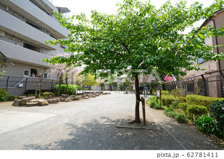 南蒲田三丁目さくら公園　　東京都大田区南蒲田 62781411