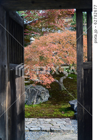 大沢池望雲亭-3 62782677