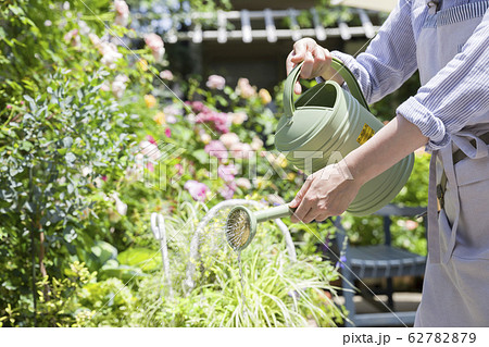 花に水をあげる女性手元 花に水をあげる女性手元 62782879