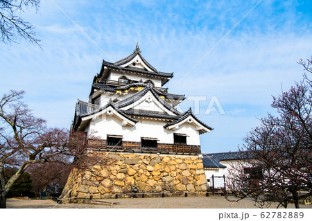 滋賀県 彦根城　天守 62782889