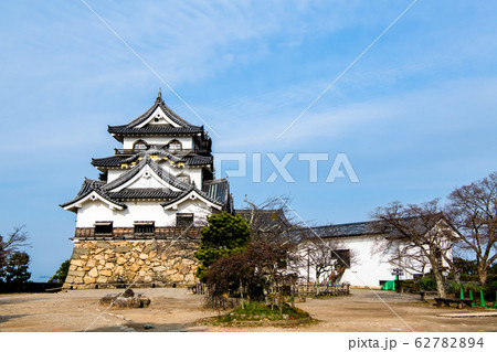滋賀県 彦根城　天守と付櫓と多聞櫓 62782894