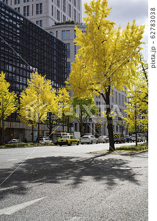 大阪 御堂筋と色づく秋の銀杏並木の街並みの写真素材