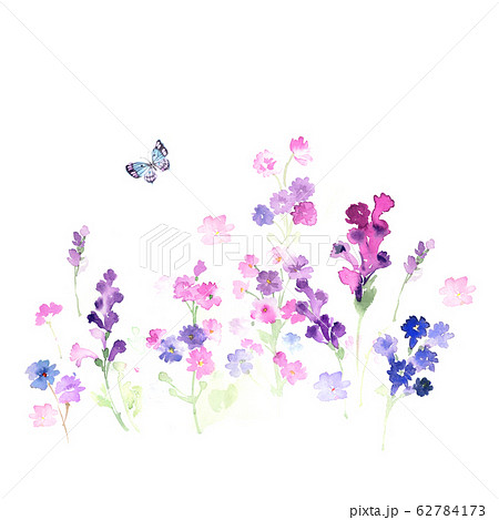 透明水彩 水彩画 花のイラスト素材