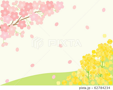 春素材23 桜 菜の花のイラスト素材