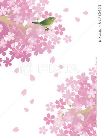 メジロ　さくら　小鳥　春　花　フレーム　コピースペース 62785451