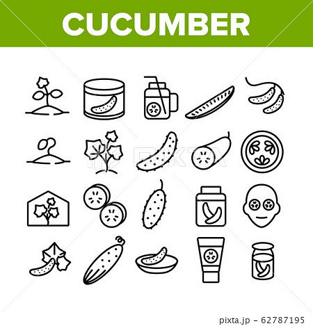 Cucumber Vegetable Collection Icons Set Vector Cucumber Vegetable Collection Icons Set Vector 62787195