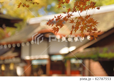 賀茂御祖神社の紅葉 賀茂御祖神社の紅葉 62787553