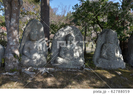 大覚寺 大沢池の石仏群 大覚寺 大沢池の石仏群 62788059