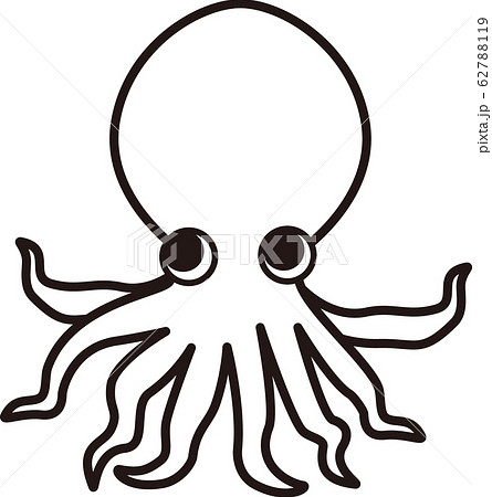 cute Hand drawing octopus. Vector illustration design for fabrics, textile  graphics, prints. doodle , line. sketch, sea animal. on white isolated  4866553 Vector Art at Vecteezy