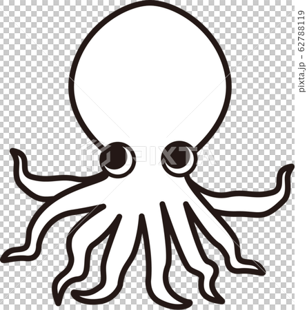 Octopus line drawing 62788119