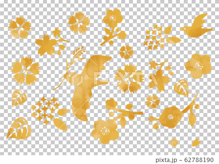 黄色い鳥と花イラスト水彩風 62788190