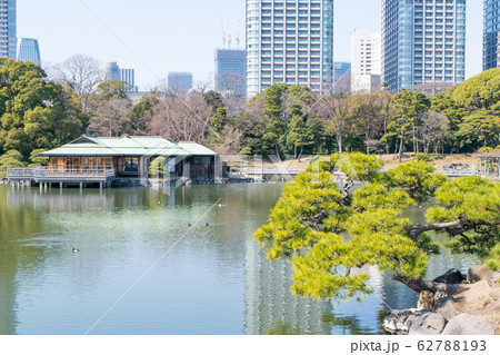 東京都　浜離宮恩賜庭園　大泉水とビル群 62788193