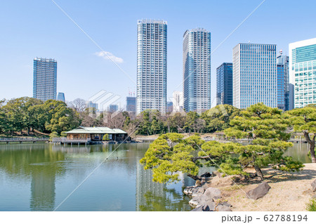 東京都　浜離宮恩賜庭園　大泉水とビル群 62788194