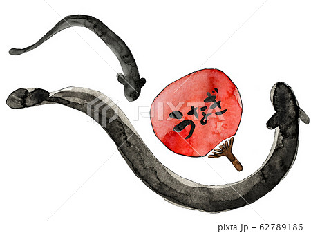 うなぎ イラストのイラスト素材