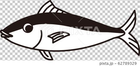 魚 魚 62789329