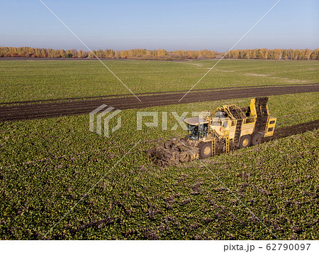 Harvesting sugar beet field machinery height during day Harvesting sugar beet field machinery height during day 62790097