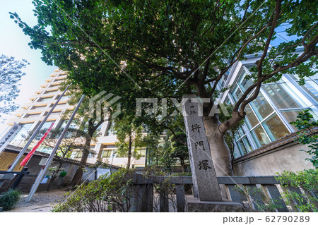 日本の東京都市景観  将門塚などを望む（隣接は大手町ワン）＝2020年2月27日 62790289