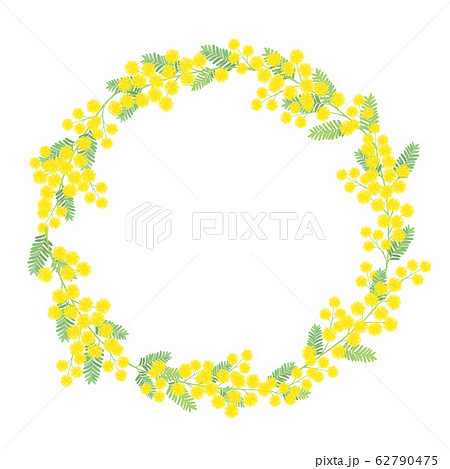 ミモザの花束イラストのイラスト素材 62790475 Pixta