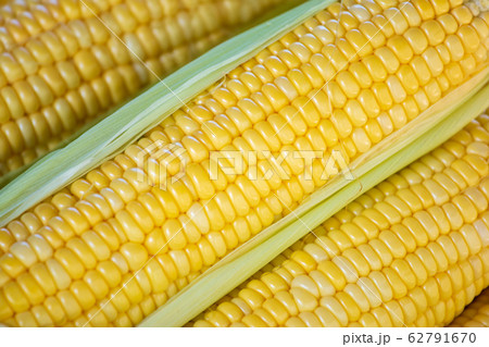 Closeup texture group of corn 62791670
