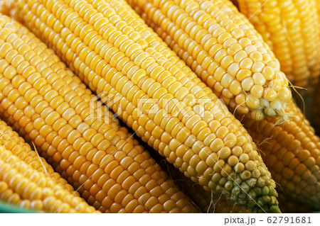 Closeup texture group of corn Closeup texture group of corn 62791681