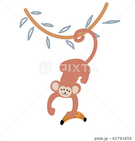 Cute Cartoon Monkey Hanging Down From A Liana のイラスト素材